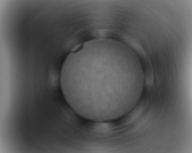 X0000092110332200709262203