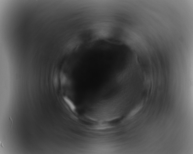 X0000092110334200709262203