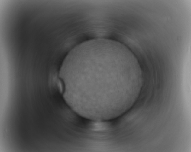 X0000092110336200709262203