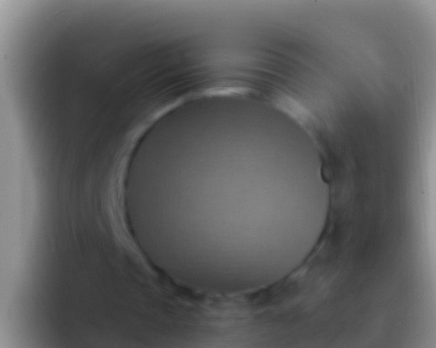 X0000092110337200709262203