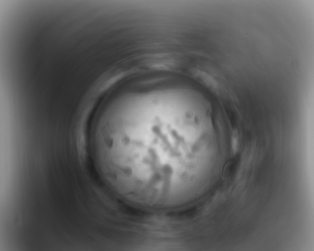 X0000092110339200709262203