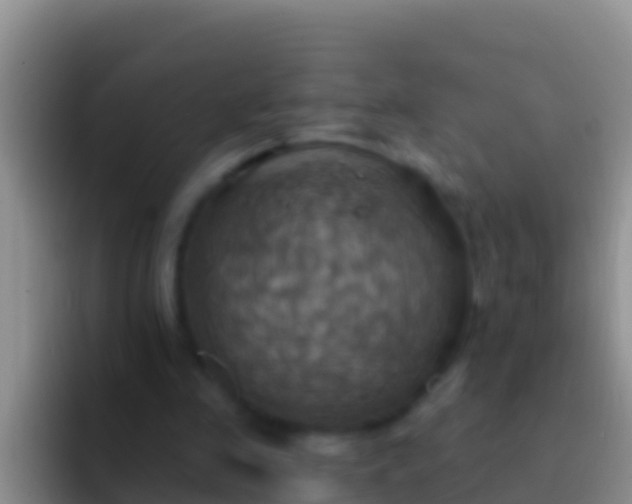 X0000092110341200709262203