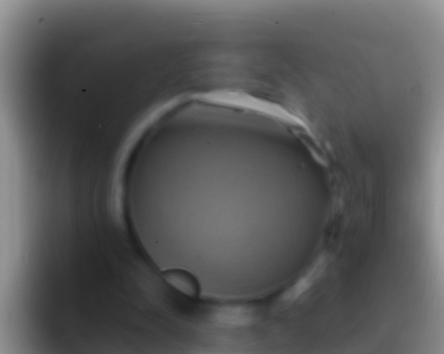 X0000092110342200709262203