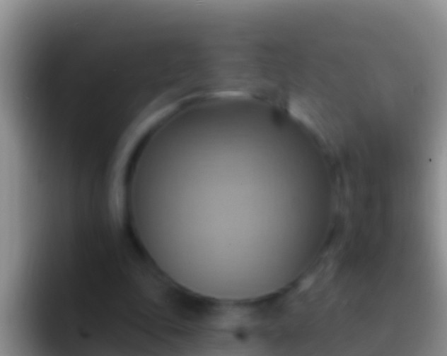 X0000092110343200709262203