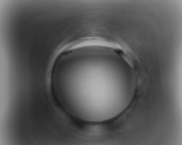 X0000092110344200709262203