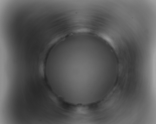 X0000092110345200709262203