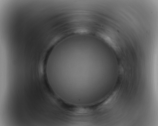 X0000092110347200709262203