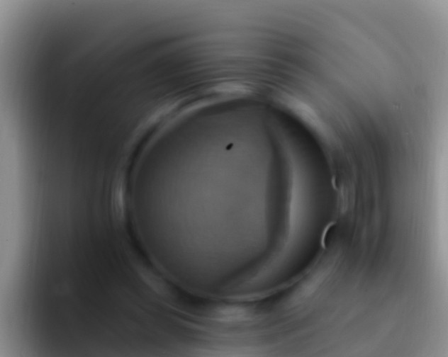 X0000092110349200709262203