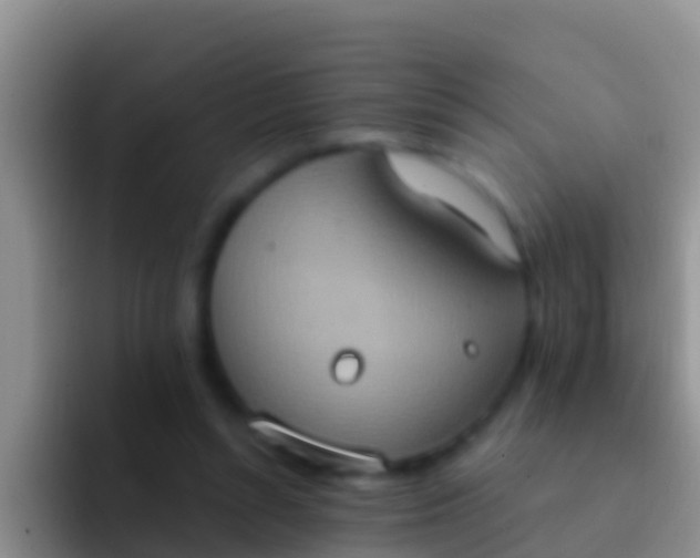 X0000092110352200709262203