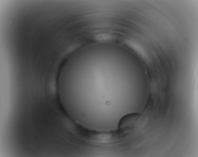 X0000092110353200709262203