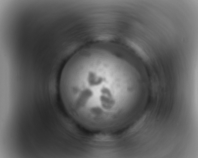 X0000092110354200709262203