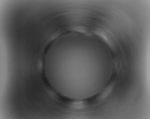 X0000092110357200709262203