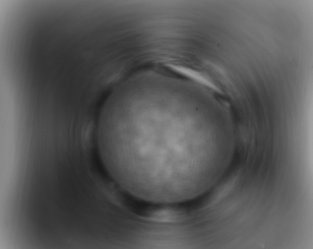 X0000092110364200709262203