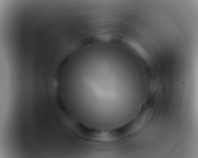 X0000092110365200709262203