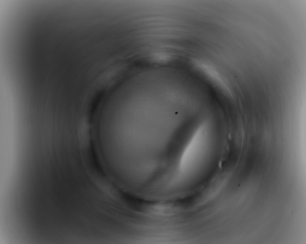 X0000092110366200709262203