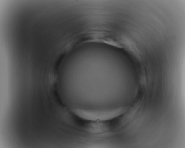 X0000092110367200709262203