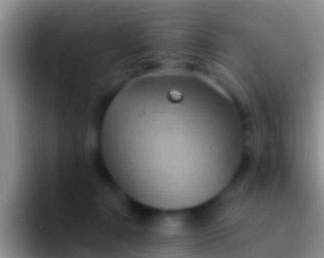 X0000092110368200709262203