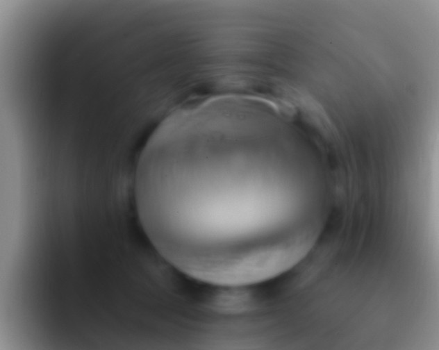 X0000092110369200709262203