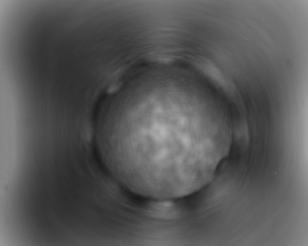 X0000092110374200709262203