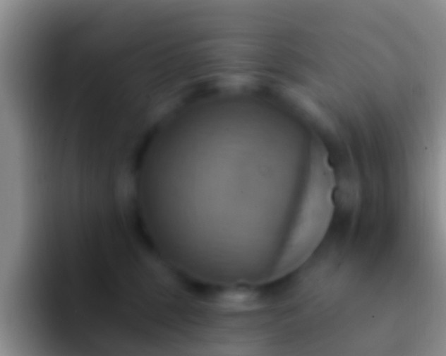 X0000092110375200709262203