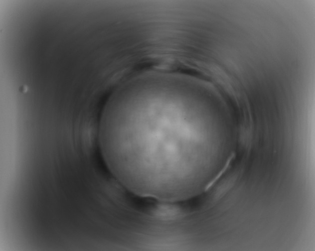 X0000092110376200709262203