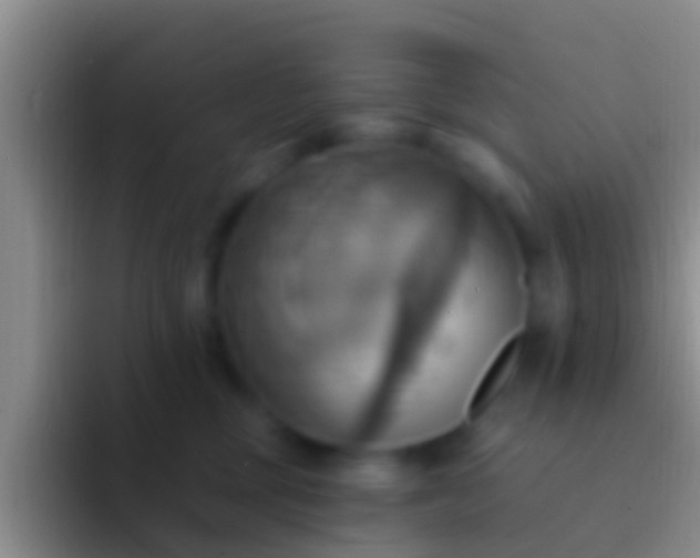 X0000092110377200709262203