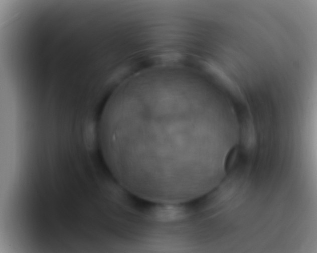 X0000092110378200709262203