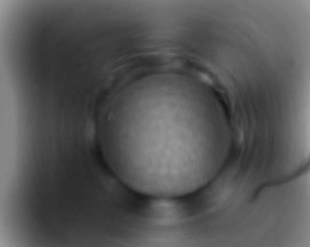 X0000092110380200709262203