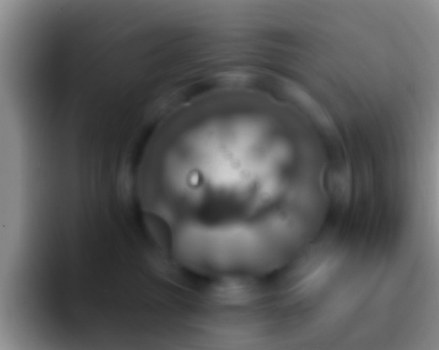 X0000092110381200709262203