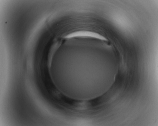 X0000092110383200709262203