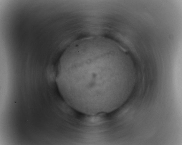 X0000092110384200709262203