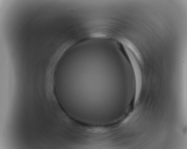 X0000092110385200709262203