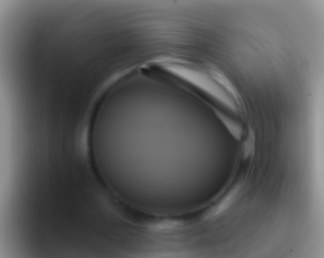 X0000092110387200709262203