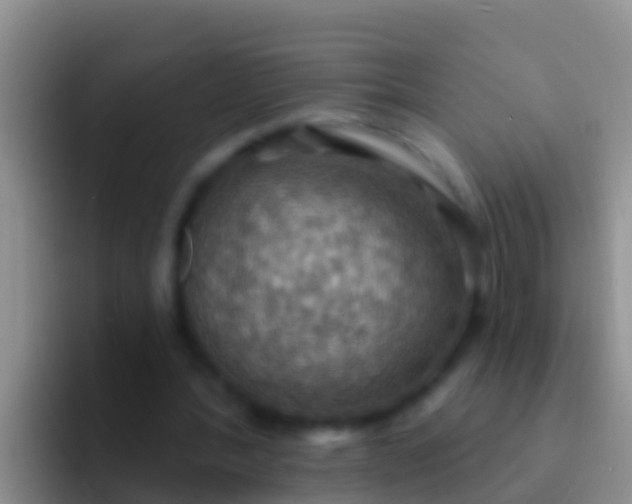 X0000092110388200709262203