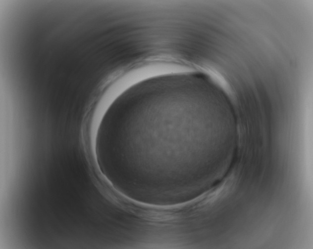 X0000092110389200709262203