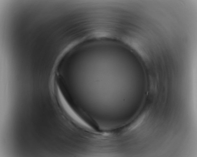 X0000092110391200709262203