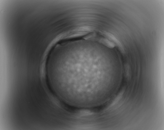 X0000092110392200709262203