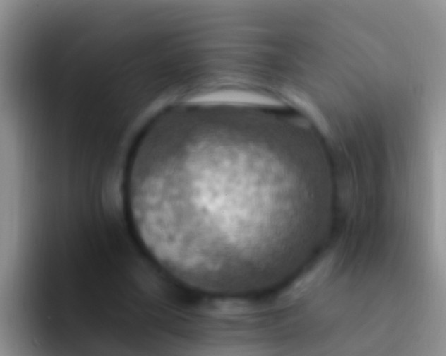 X0000092110395200709262203