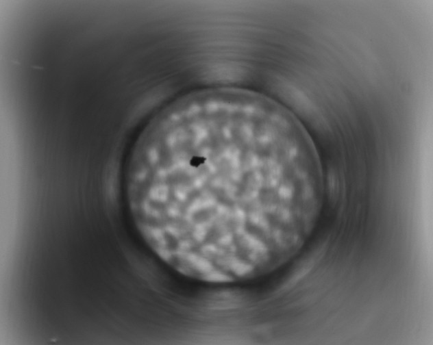 X0000092110396200709262203