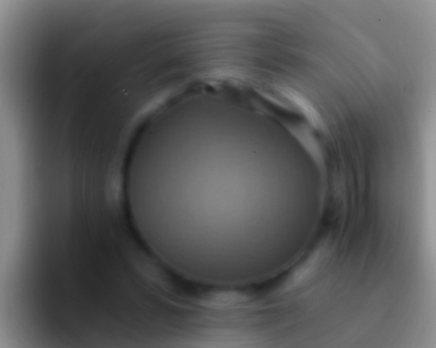 X0000092110399200709262203