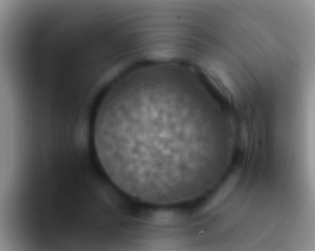 X0000092110400200709262203