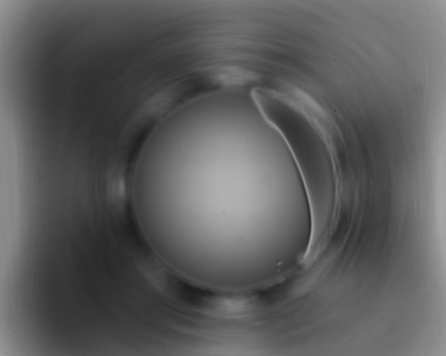 X0000092110405200709262202