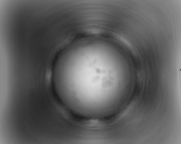 X0000092110406200709262202