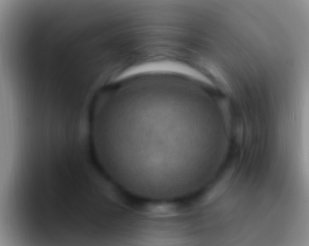 X0000092110407200709262202