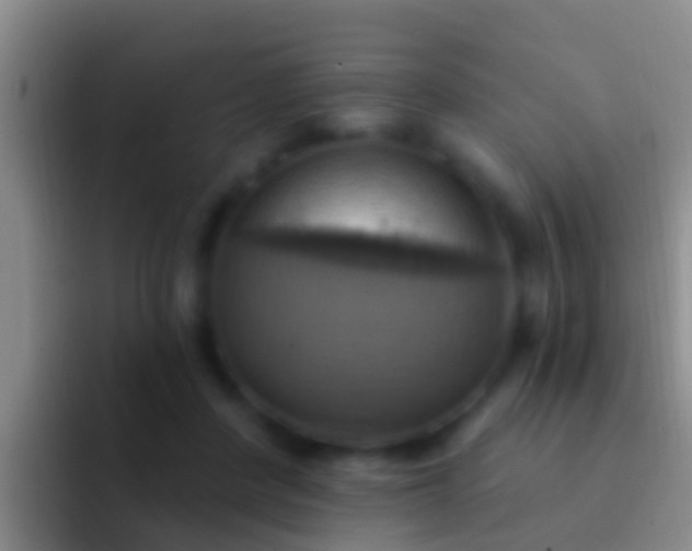 X0000092110408200709262202