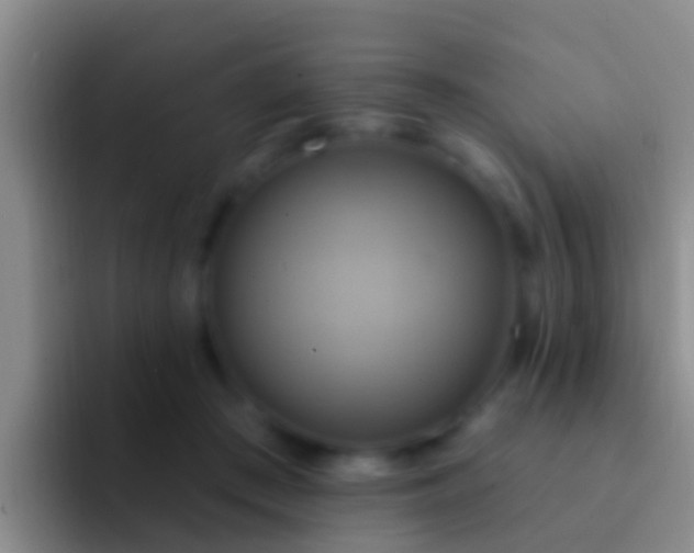 X0000092110409200709262202