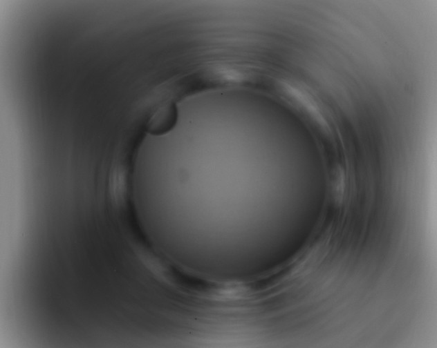 X0000092110410200709262202