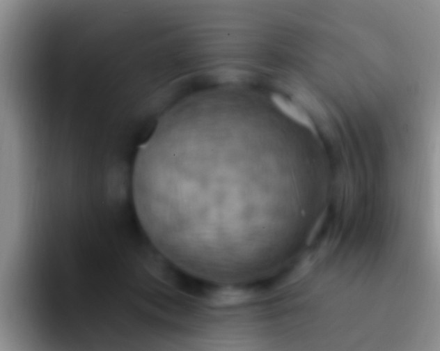 X0000092110413200709262202