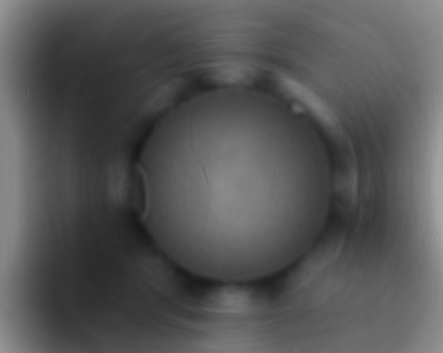 X0000092110416200709262202