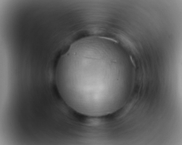 X0000092110417200709262202